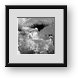 Buy Framed Print