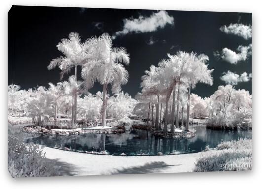 Tropical Paradise Infrared Fine Art Canvas Print