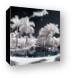 Tropical Paradise Infrared Canvas Print