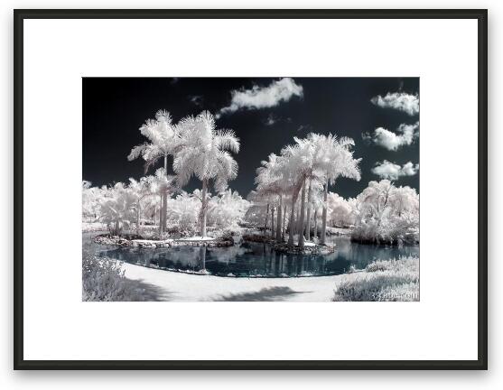 Tropical Paradise Infrared Framed Fine Art Print