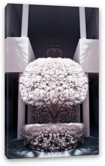 Welcome Tree Infrared Fine Art Canvas Print