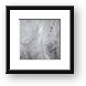 Infrared Palm Abstract Framed Print