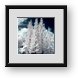 Buy Framed Print