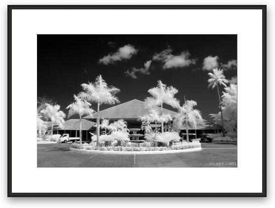 Melia Caribe Tropical vertical panoramic Framed Fine Art Print