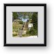 Buy Framed Print