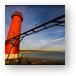 Buy Metal Print