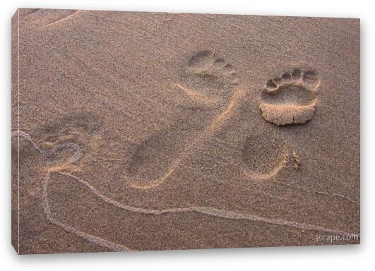 Footsteps in the sand Fine Art Canvas Print