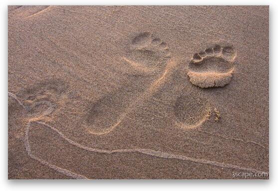 Footsteps in the sand Fine Art Metal Print