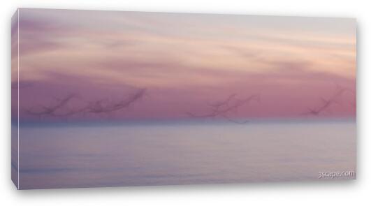 Pastel abstract - flying seagulls at dusk Fine Art Canvas Print