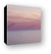 Pastel abstract - flying seagulls at dusk Canvas Print