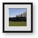 Buy Framed Print