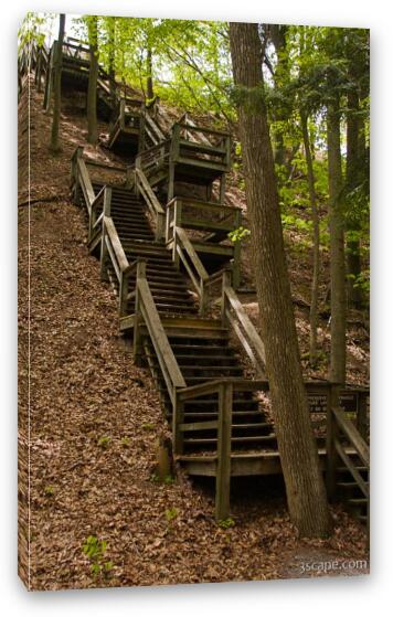 Staircase over dunes in PJ Hoffmaster State Park Fine Art Canvas Print