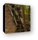 Staircase over dunes in PJ Hoffmaster State Park Canvas Print