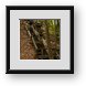 Buy Framed Print