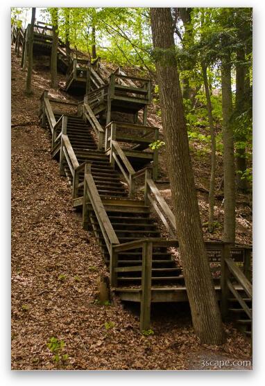 Staircase over dunes in PJ Hoffmaster State Park Fine Art Metal Print