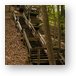 Staircase over dunes in PJ Hoffmaster State Park Metal Print