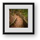 Buy Framed Print