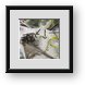 Buy Framed Print