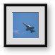 Buy Framed Print