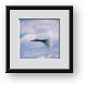 Buy Framed Print