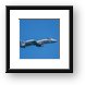 Buy Framed Print