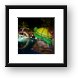 Night shot of the kids pool area Framed Print