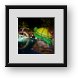 Buy Framed Print