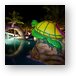 Night shot of the kids pool area Metal Print