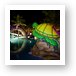 Night shot of the kids pool area Art Print