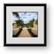 Buy Framed Print