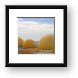 Buy Framed Print