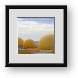 Buy Framed Print