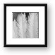 Buy Framed Print