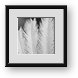 Buy Framed Print