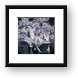 Infrared Dragon - the kids pool area Framed Print