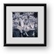 Buy Framed Print
