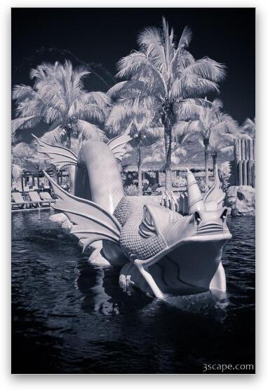 Infrared Dragon - the kids pool area Fine Art Metal Print