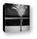 Single Palm Tree in Infrared Canvas Print