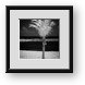 Buy Framed Print
