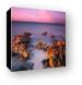 Dawn coloring the exposed ancient coral (ND110 filter) Canvas Print
