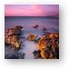 Dawn coloring the exposed ancient coral (ND110 filter) Metal Print