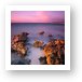 Dawn coloring the exposed ancient coral (ND110 filter) Art Print