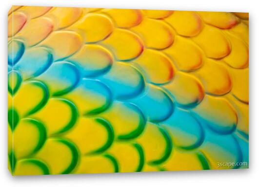 Colorful fish scales Fine Art Canvas Print