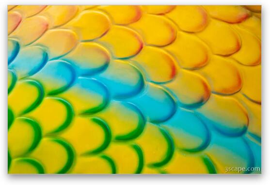 Colorful fish scales Fine Art Metal Print