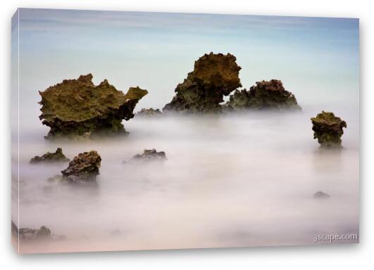 Exposed Eroded Ancient Coral Fine Art Canvas Print