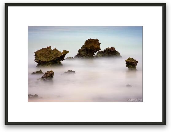 Exposed Eroded Ancient Coral Framed Fine Art Print