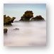 Exposed Eroded Ancient Coral Metal Print