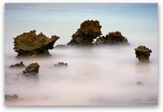 Exposed Eroded Ancient Coral Fine Art Print