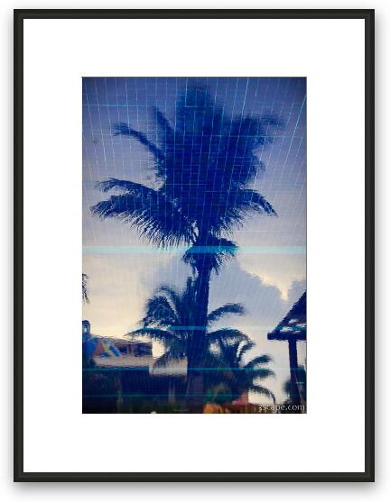 Palm tree - which way is up Framed Fine Art Print