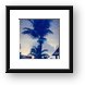 Palm tree - which way is up Framed Print